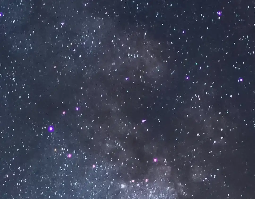 第254页