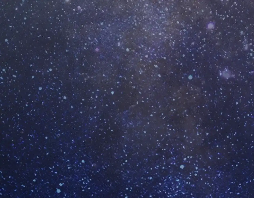 第257页