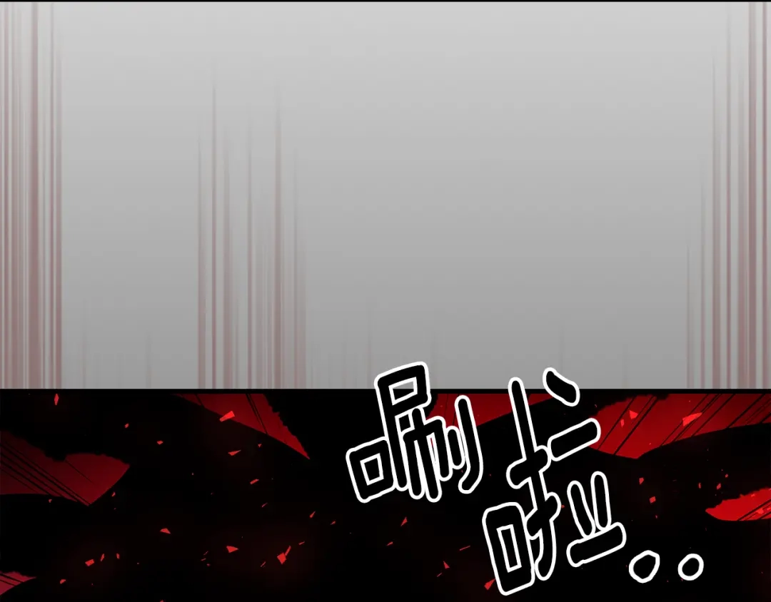 第216页