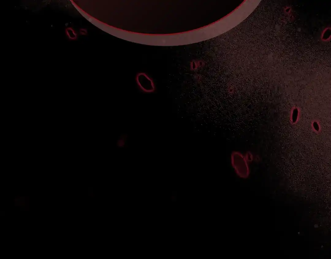 第223页