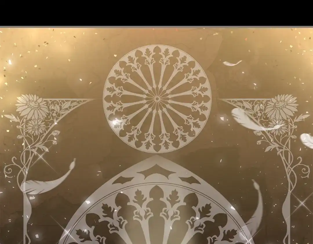 第222页