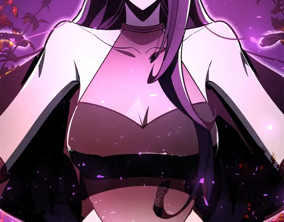 第242页