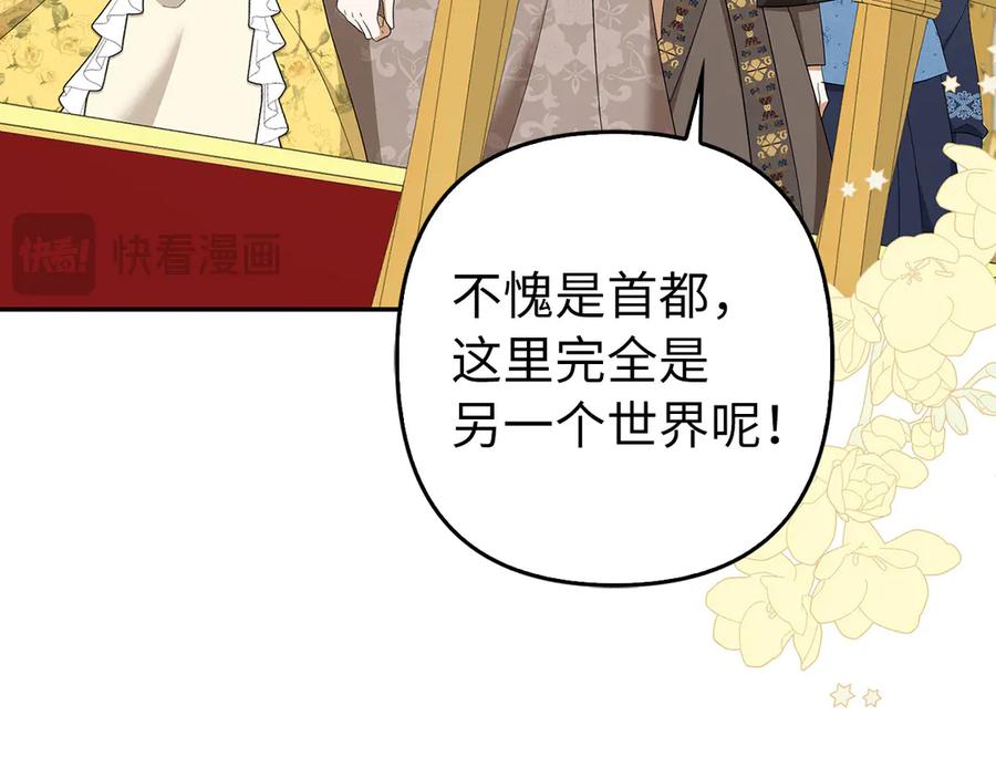 第242页