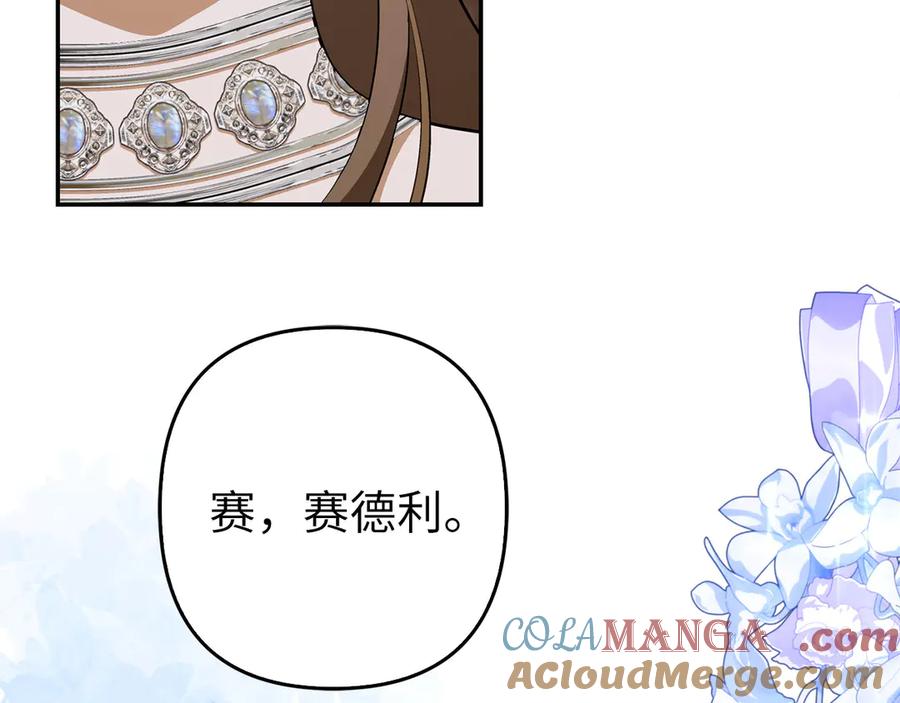 第221页