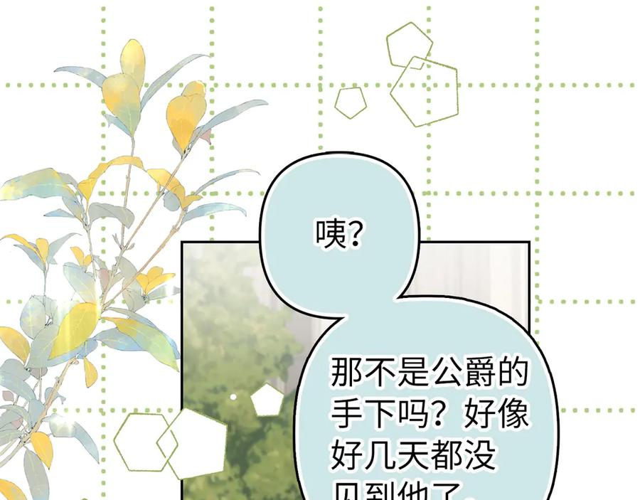 第523页