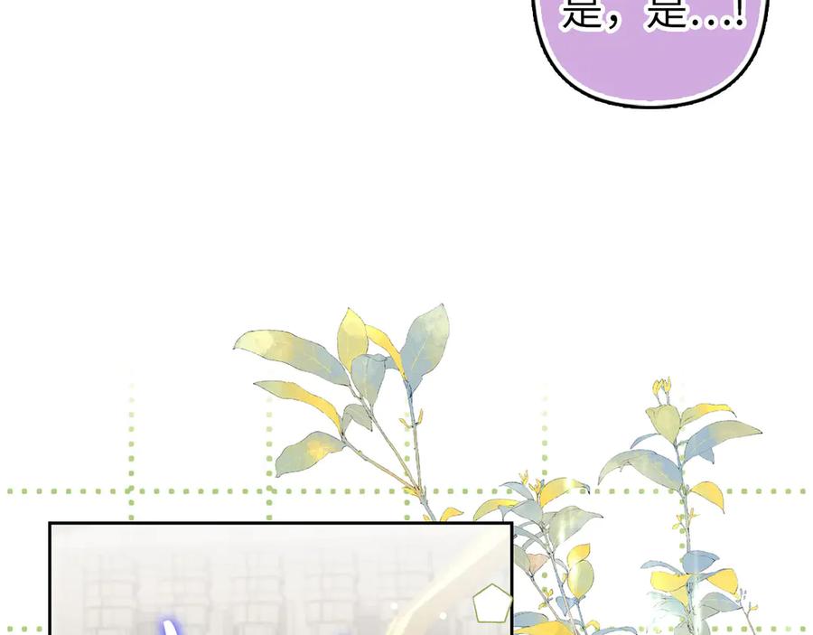 第516页