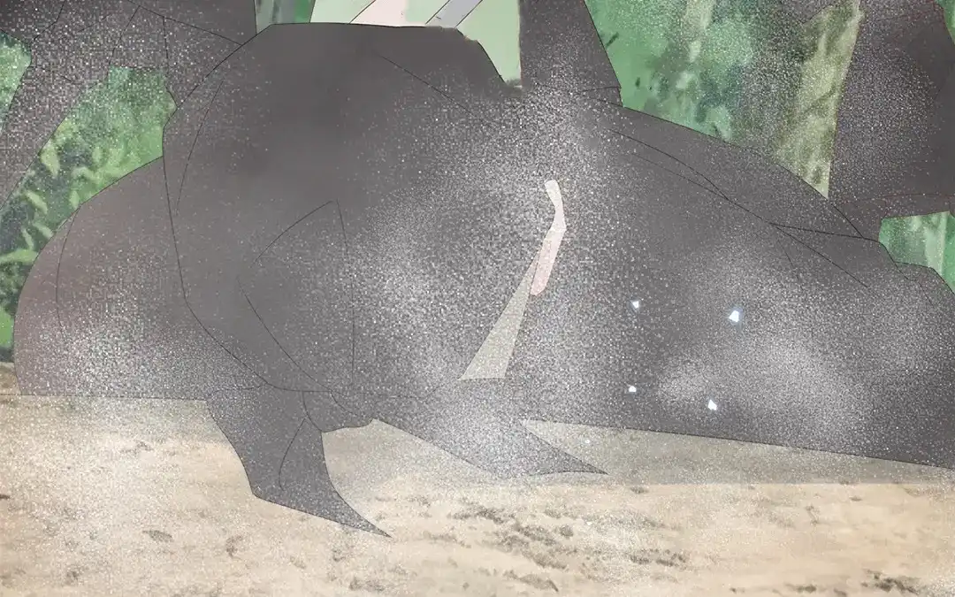 第57页