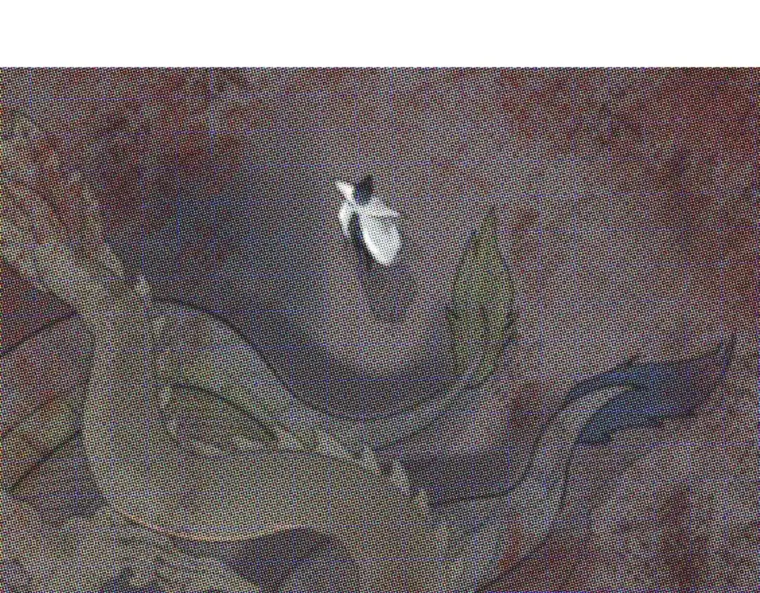 第125页