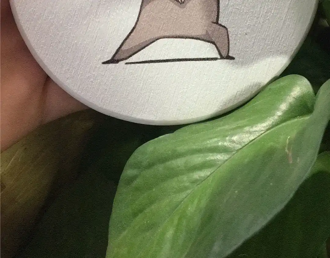 第148页