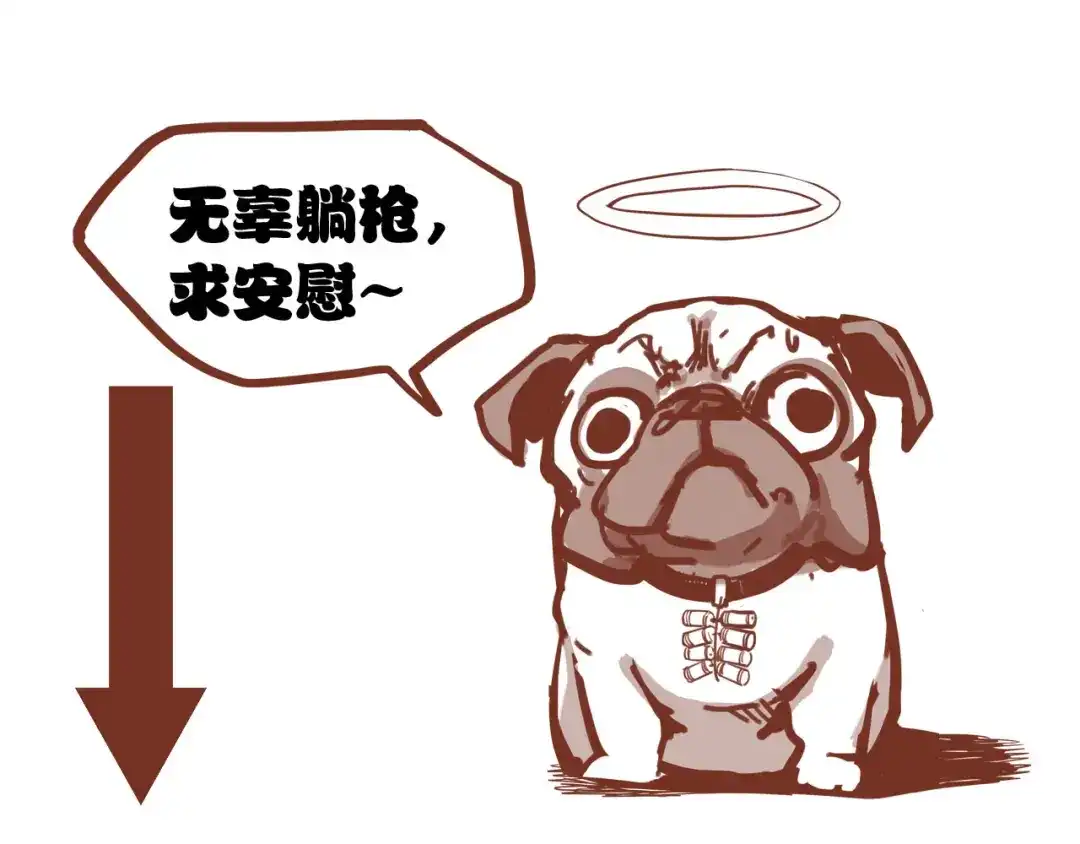 第148页