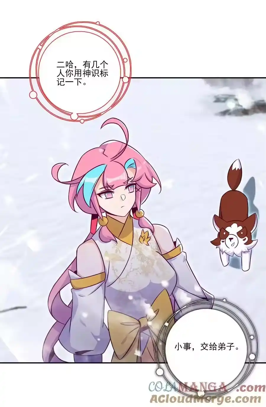 第46页
