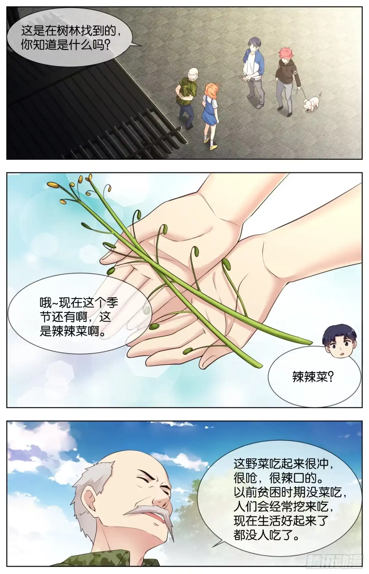 第3页