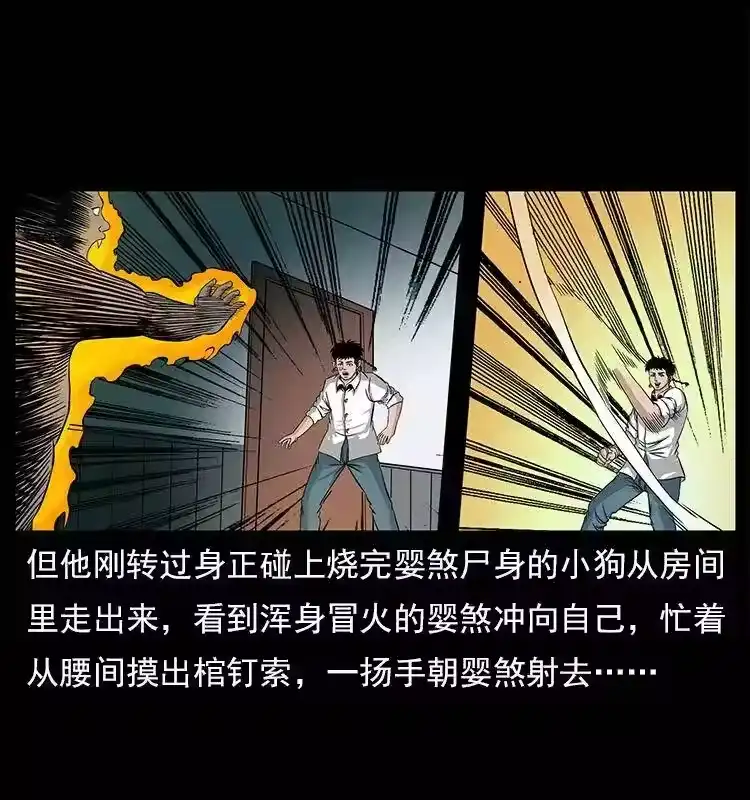 第81页