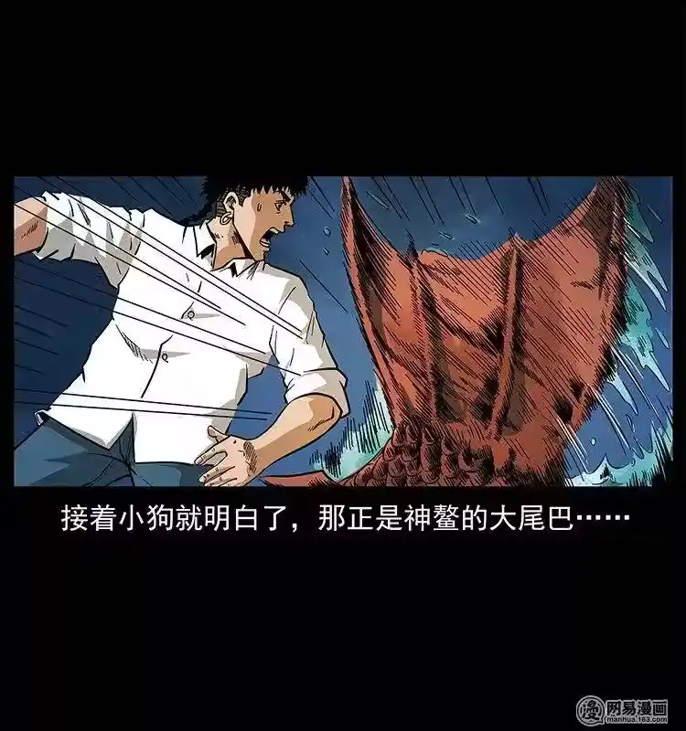 第57页