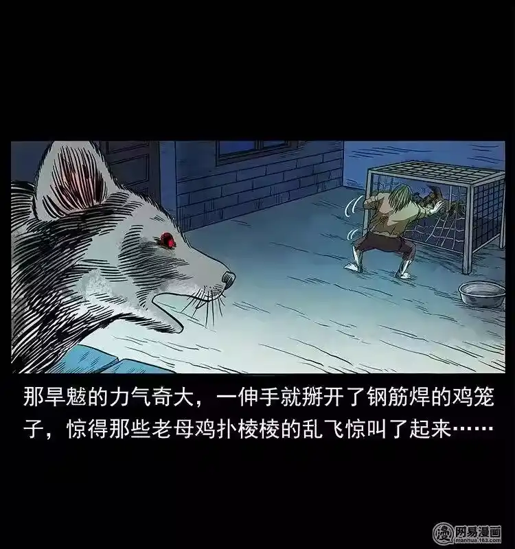 第43页