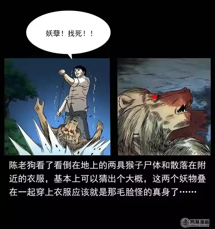 第41页