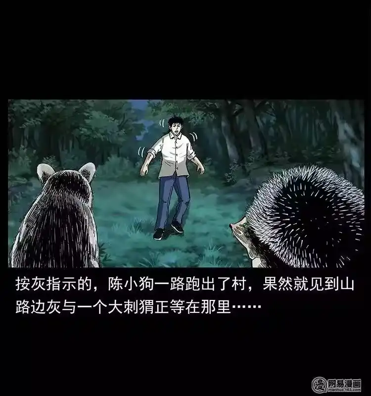 第51页