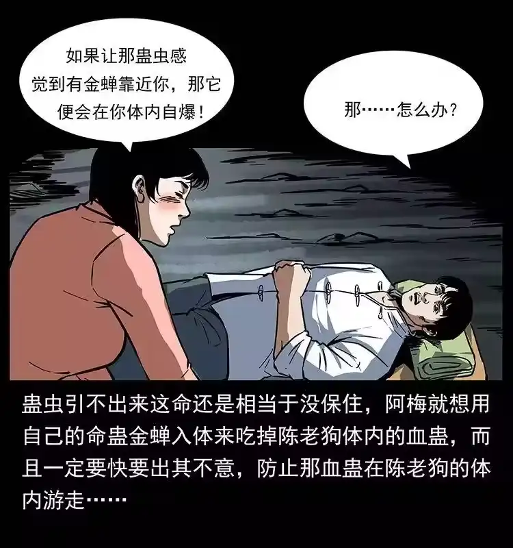 第55页