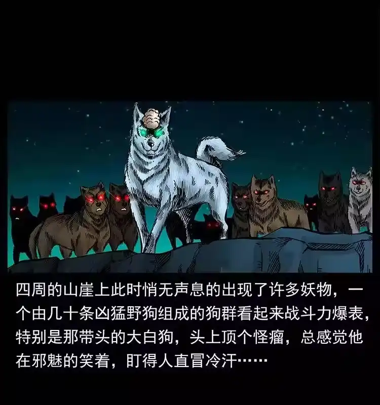 第85页