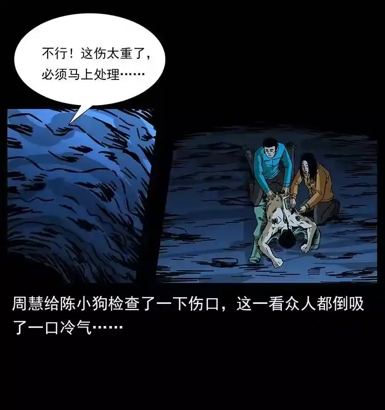 第55页