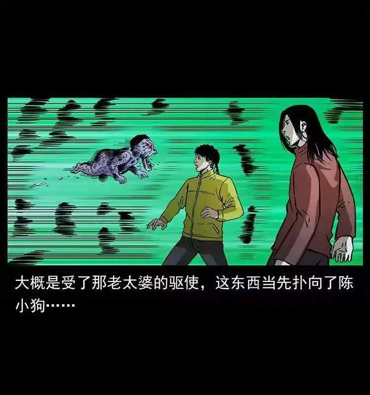 第81页