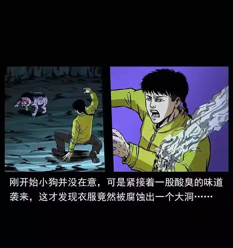 第83页