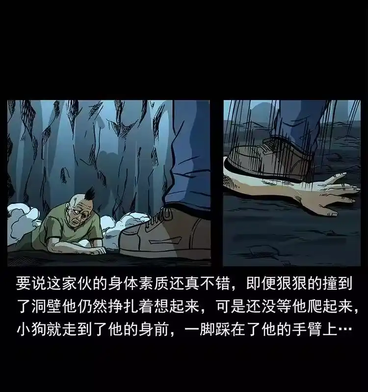 第55页