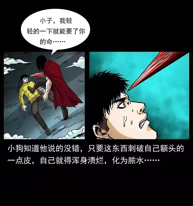 第47页