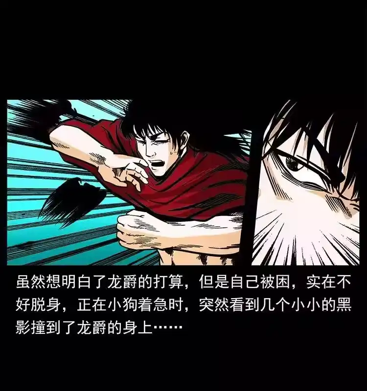 第75页