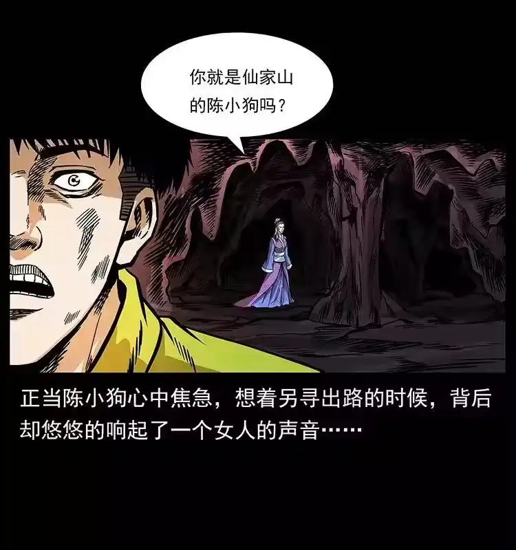 第50页