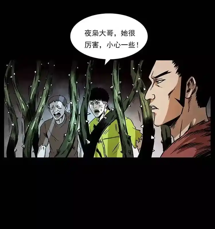 第47页
