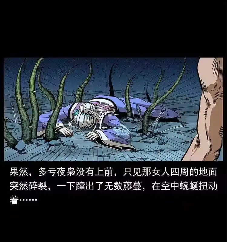 第53页