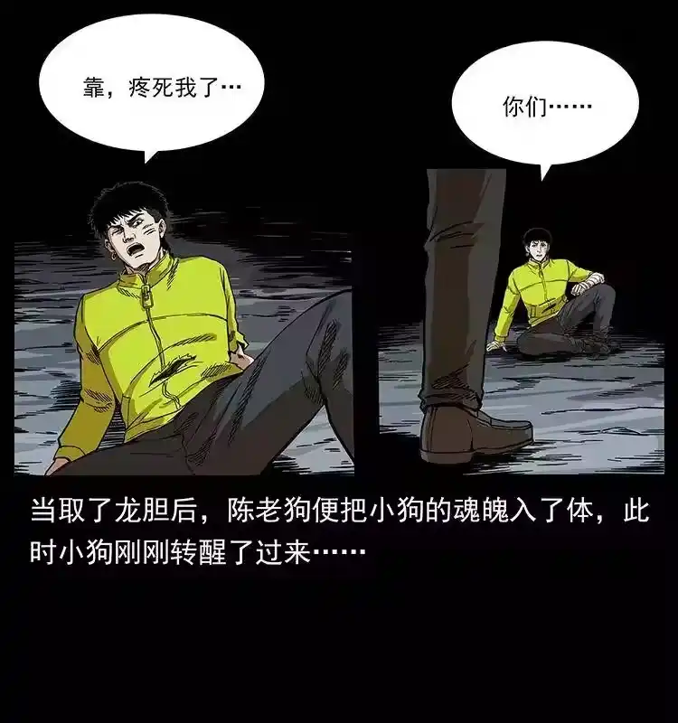 第53页
