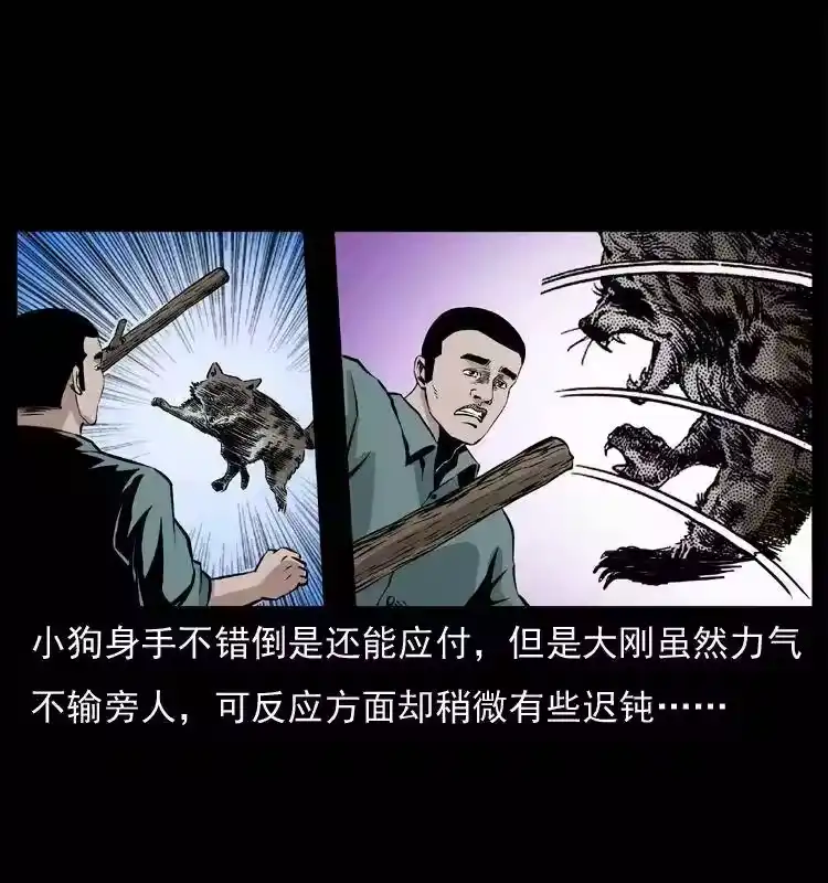第51页