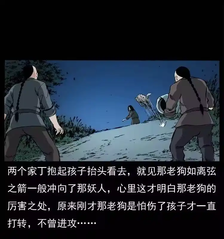 第50页
