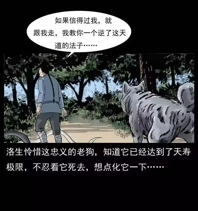 第58页