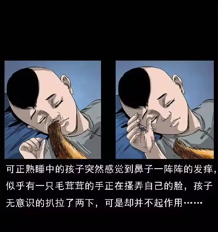 第44页