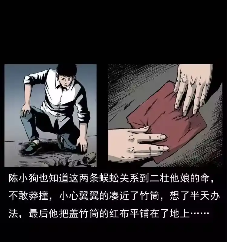 第48页