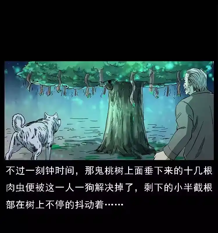 第74页