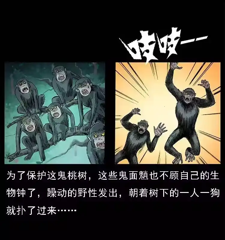 第77页