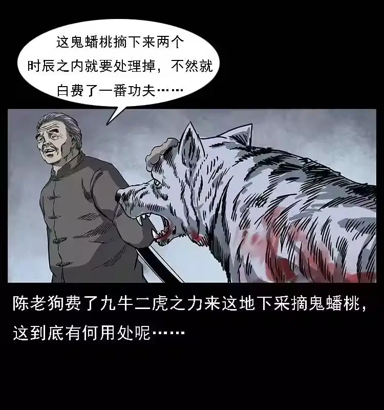 第80页