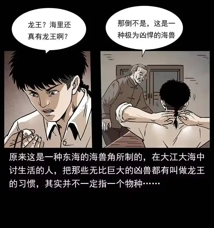 幽冥诡匠_h 233 又见养鬼人 第9页
