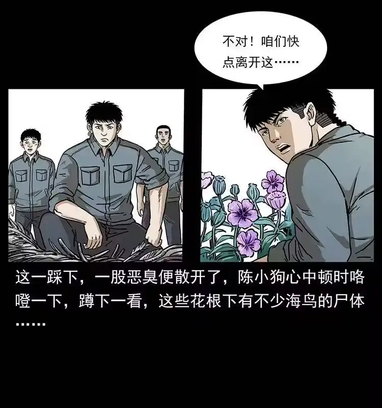 幽冥诡匠_h 236 神秘的小岛 第47页