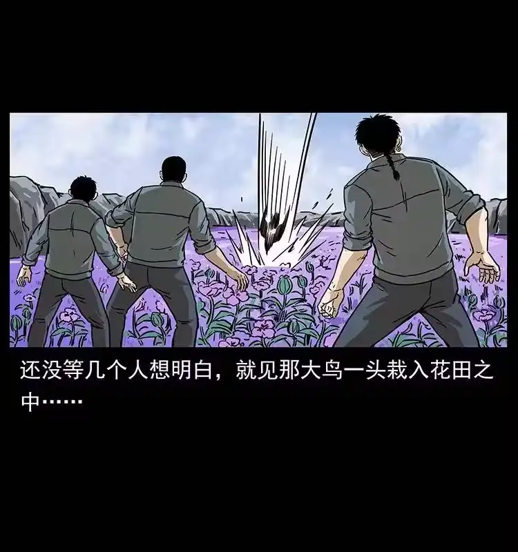 幽冥诡匠_h 236 神秘的小岛 第51页