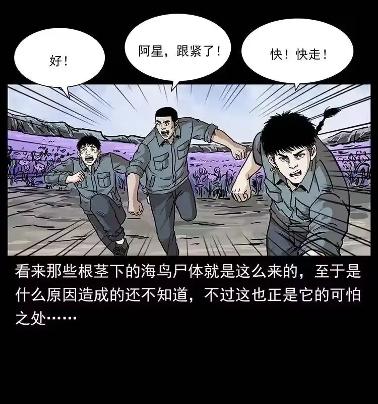 幽冥诡匠_h 236 神秘的小岛 第53页