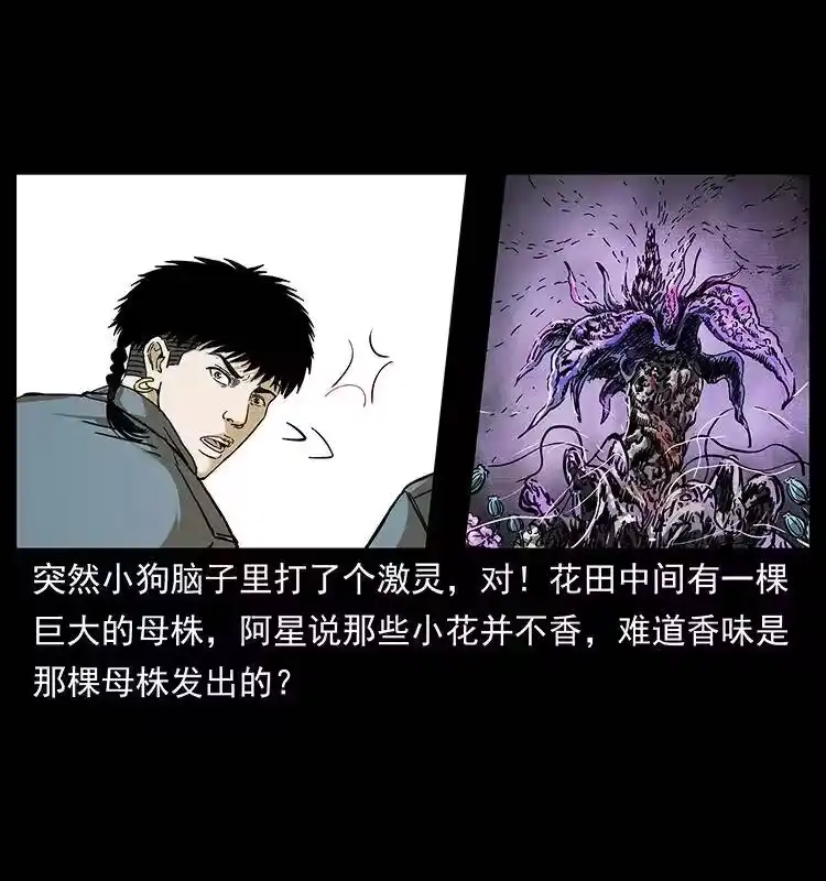 幽冥诡匠_h 236 神秘的小岛 第58页
