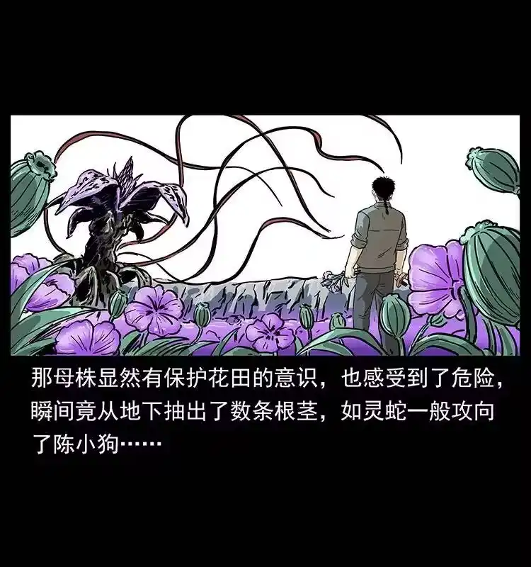幽冥诡匠_h 236 神秘的小岛 第65页