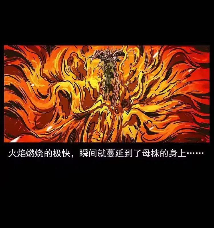 幽冥诡匠_h 236 神秘的小岛 第70页
