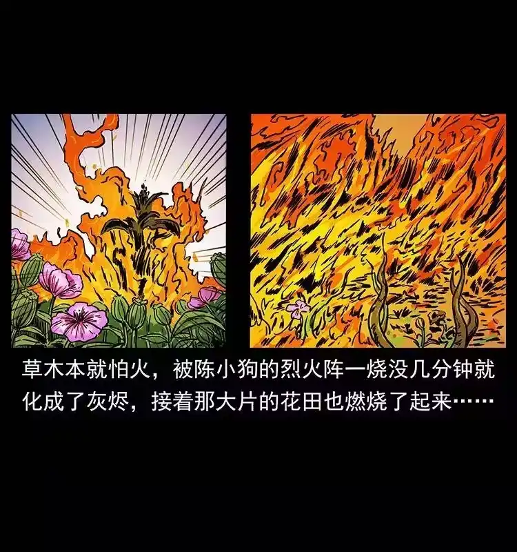 幽冥诡匠_h 236 神秘的小岛 第71页