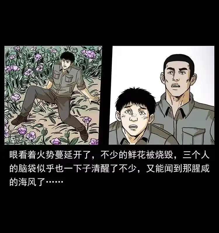 幽冥诡匠_h 236 神秘的小岛 第73页